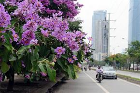 Cảm xúc tháng Tư và tháng Năm