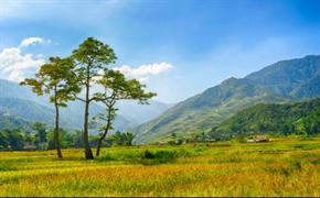 Đi lên từ một, thành tựu từ ba