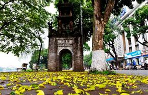Cảm hoài thu