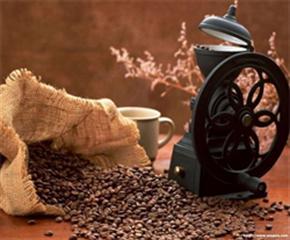Tây Nguyên - Cafe kêu cứu