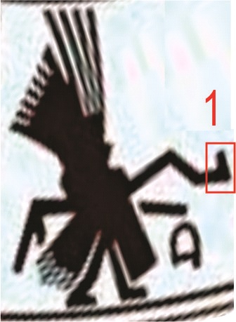 bac 2.jpg