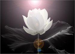 Lý giải nào cho những huyền bí tâm linh :: Suy ngẫm & Tự vấn :: ChúngTa.com
