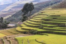 Vai trò của nhân tố văn hoá trong nền văn minh :: Suy ngẫm & Tự vấn :: ChúngTa.com